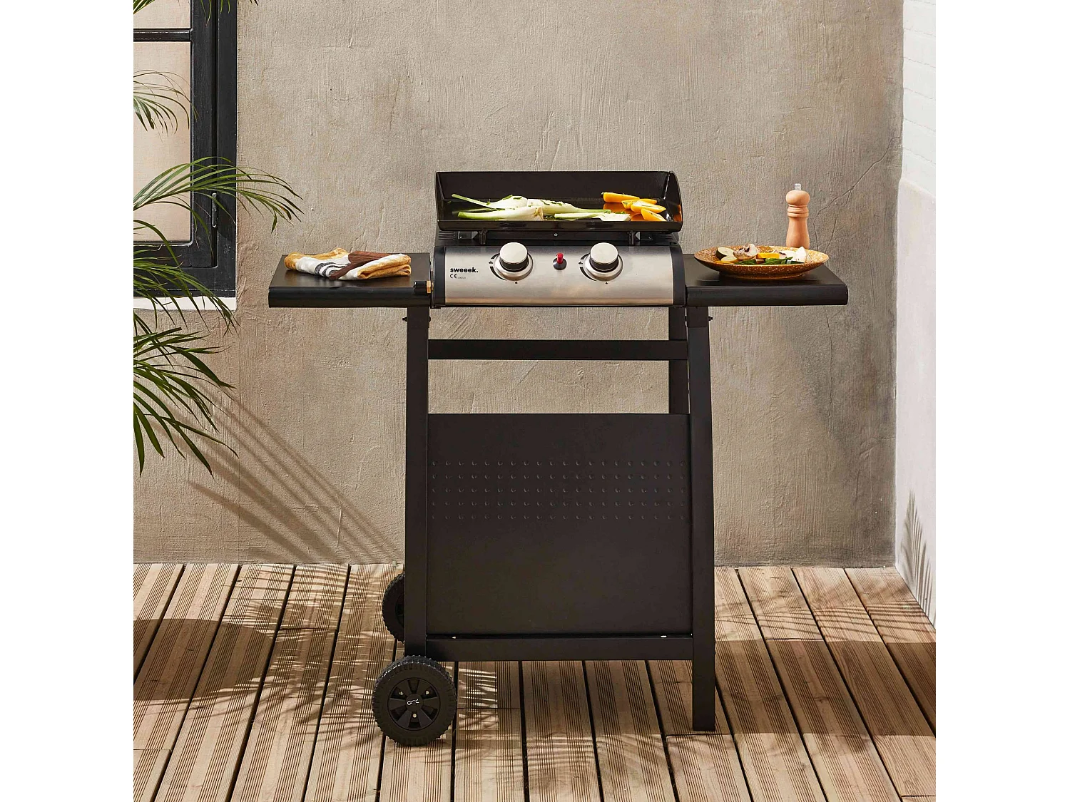 Plancha de gas 2 quemadores 5kw + carro negro