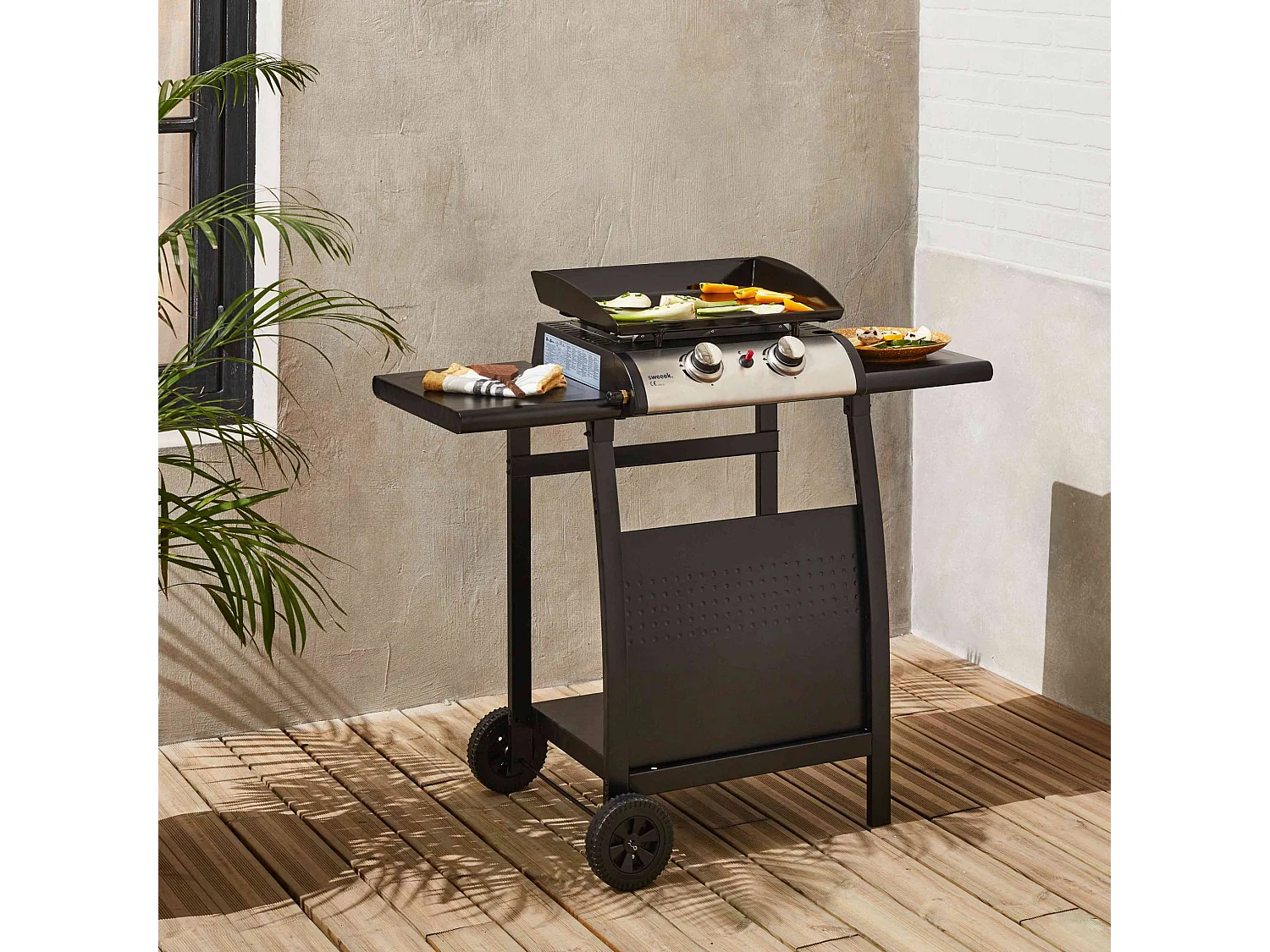 Plancha de gas 2 quemadores 5kw + carro negro