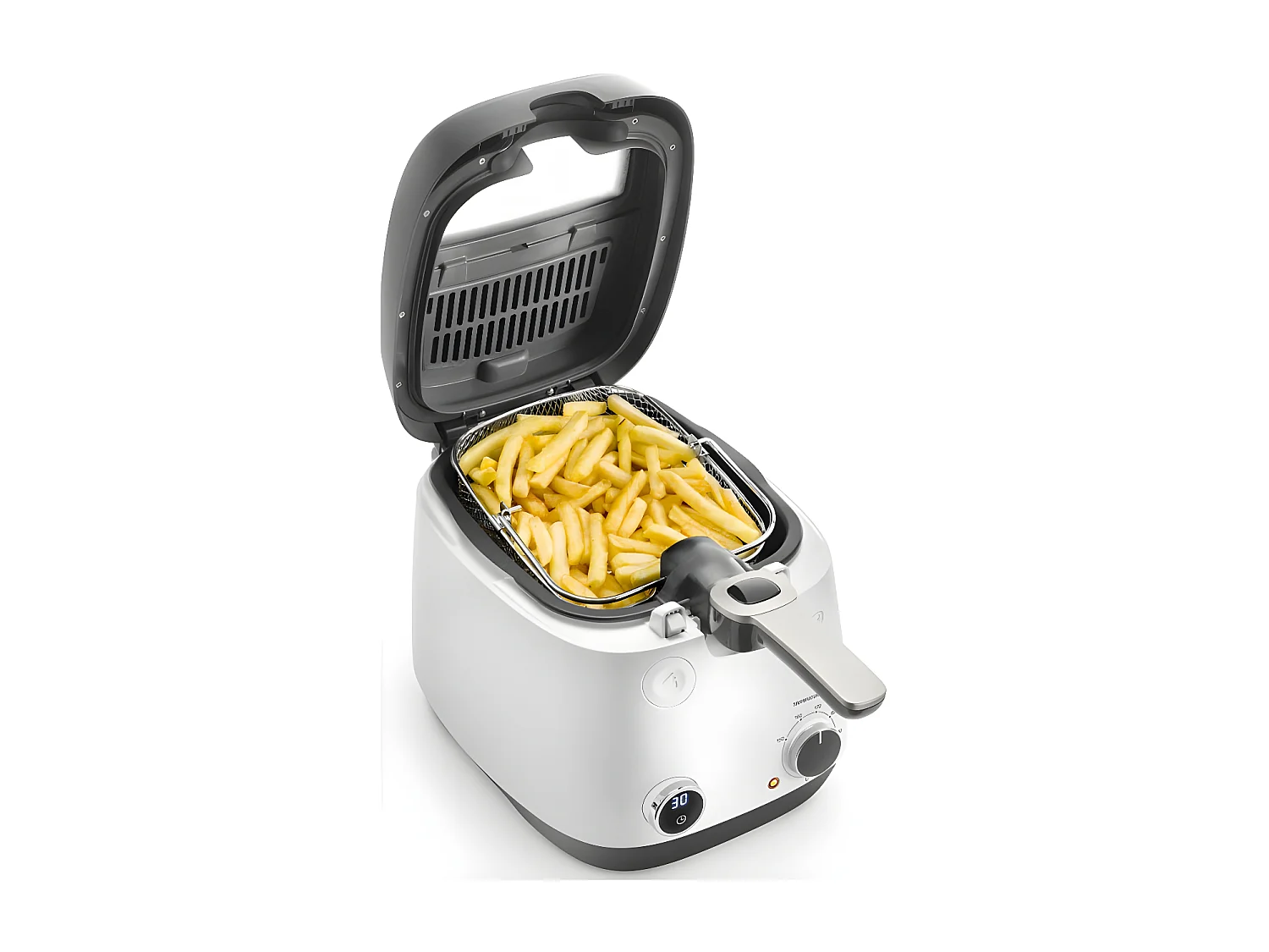 FRITEUSE DELONGHI FS 6067