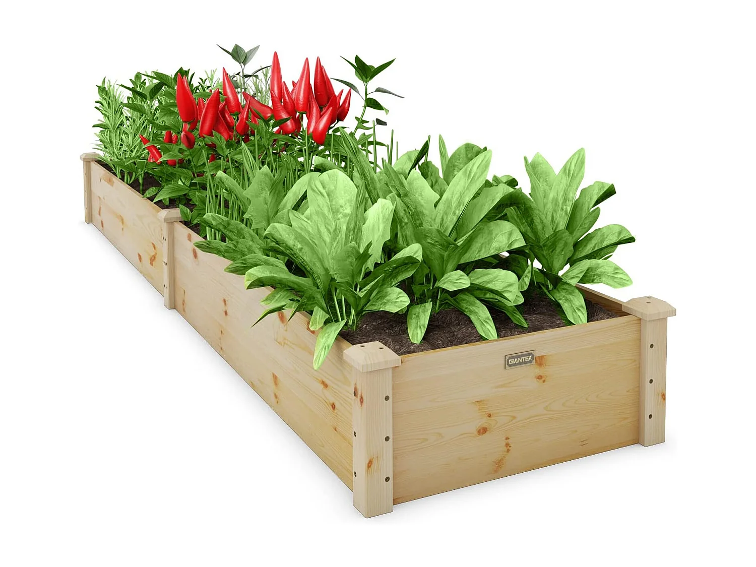 240x60x25CM Rechteckiger quadratischer Gemüsegarten aus Tannenholz Erhöhter Blumenkasten mit offener Basis für Obst und Gemüse