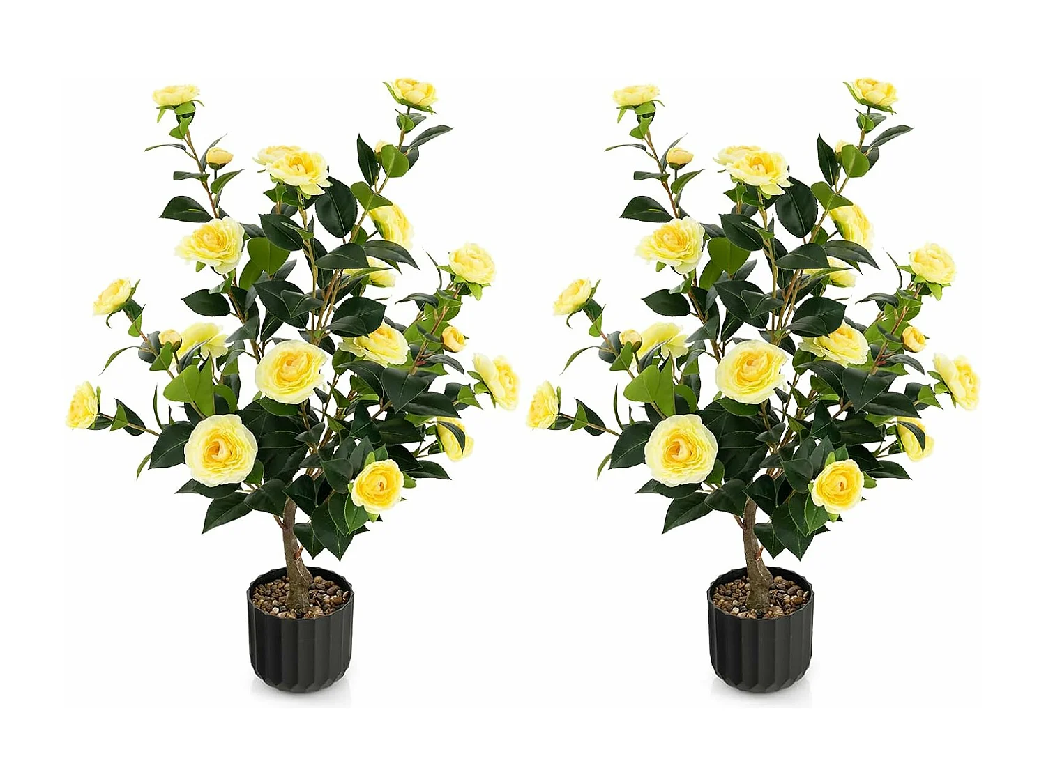 Kamelienbaum TL32300 (2er Set)
