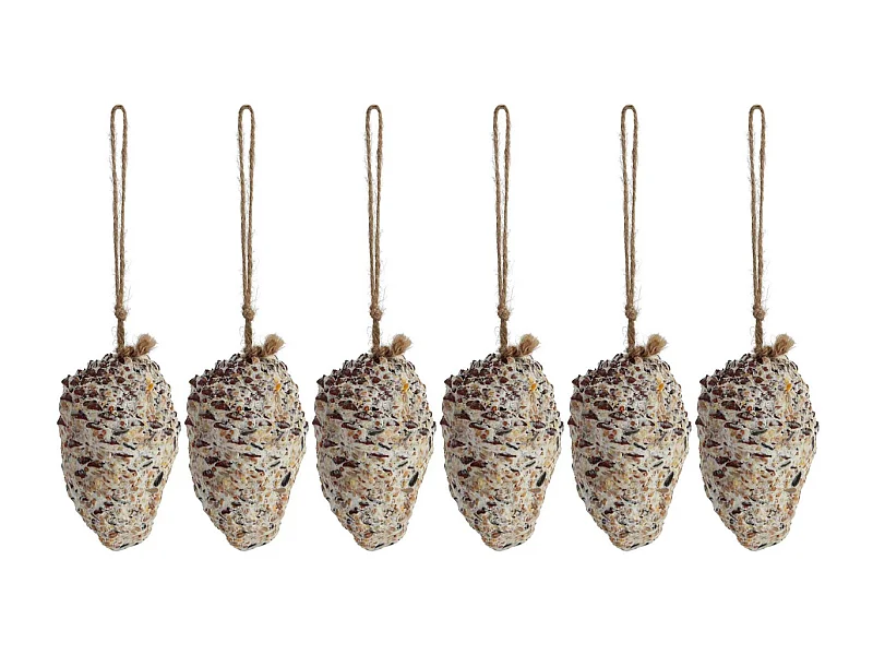 Pomme de pin fourrée de graines et graisse pour oiseaux Lot de 6
