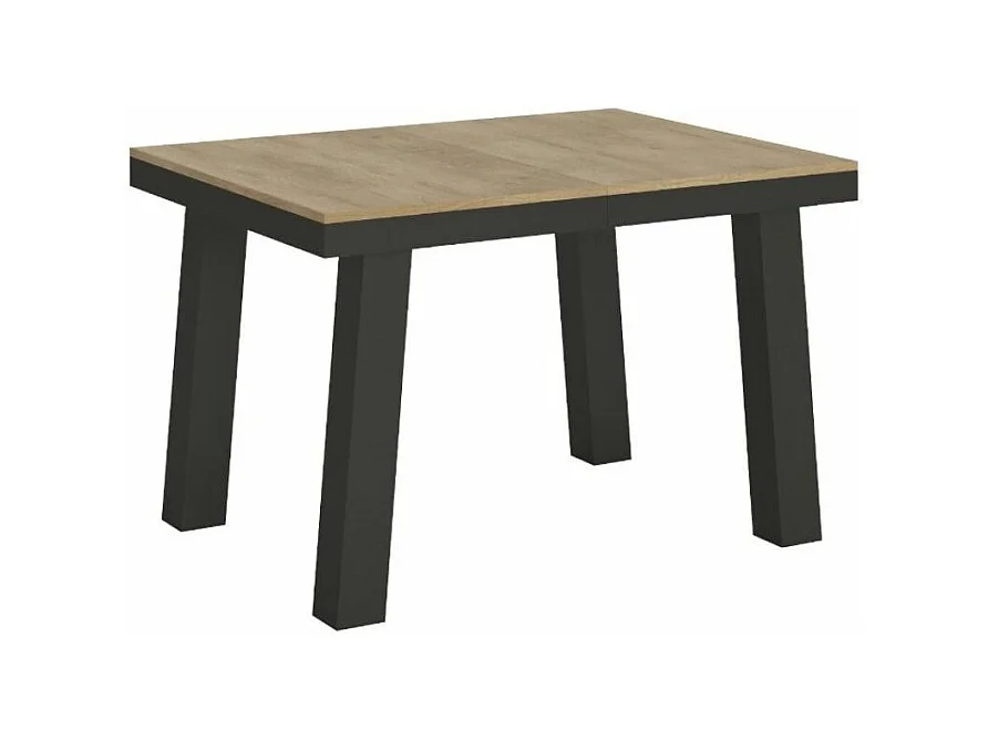 Table extensible 6 à 10 places L 120 à 224cm bois clair et cadre métal anthracite Bidy