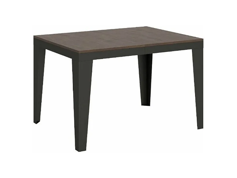 Table rectangulaire extensible 6 à 10 places L 120 à 224cm noyer et pieds acier gris foncé Flavien