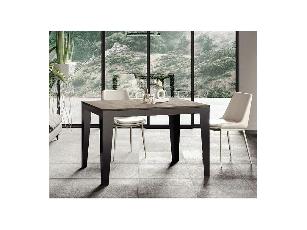 Rechthoekige uitschuifbare tafel 6 tot 10 plaatsen L 120 tot 224 cm walnoot en donkergrijze stalen poten Flavien