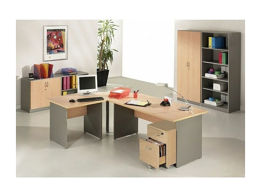 Armoire de bureau 2 portes hêtre clair et gris Wirma