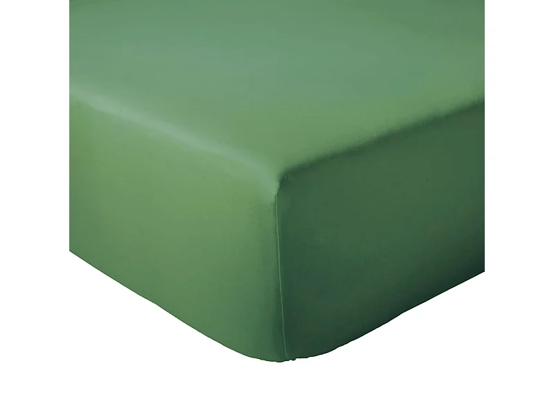 Drap housse 160x200 cm bonnet 30 coton ÉVASION Vert fougère