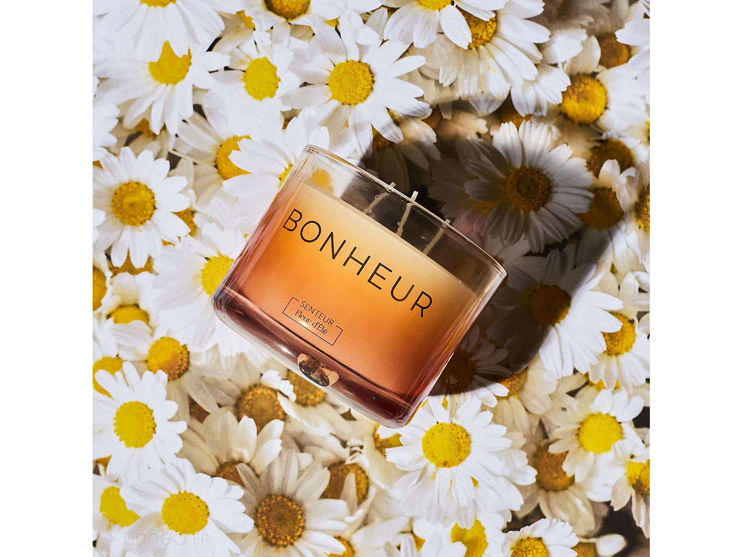 Bougie parfumée 3 mèches en coton AMOUR ET PASSION à la cire de parafine senteur fleur d'été orange