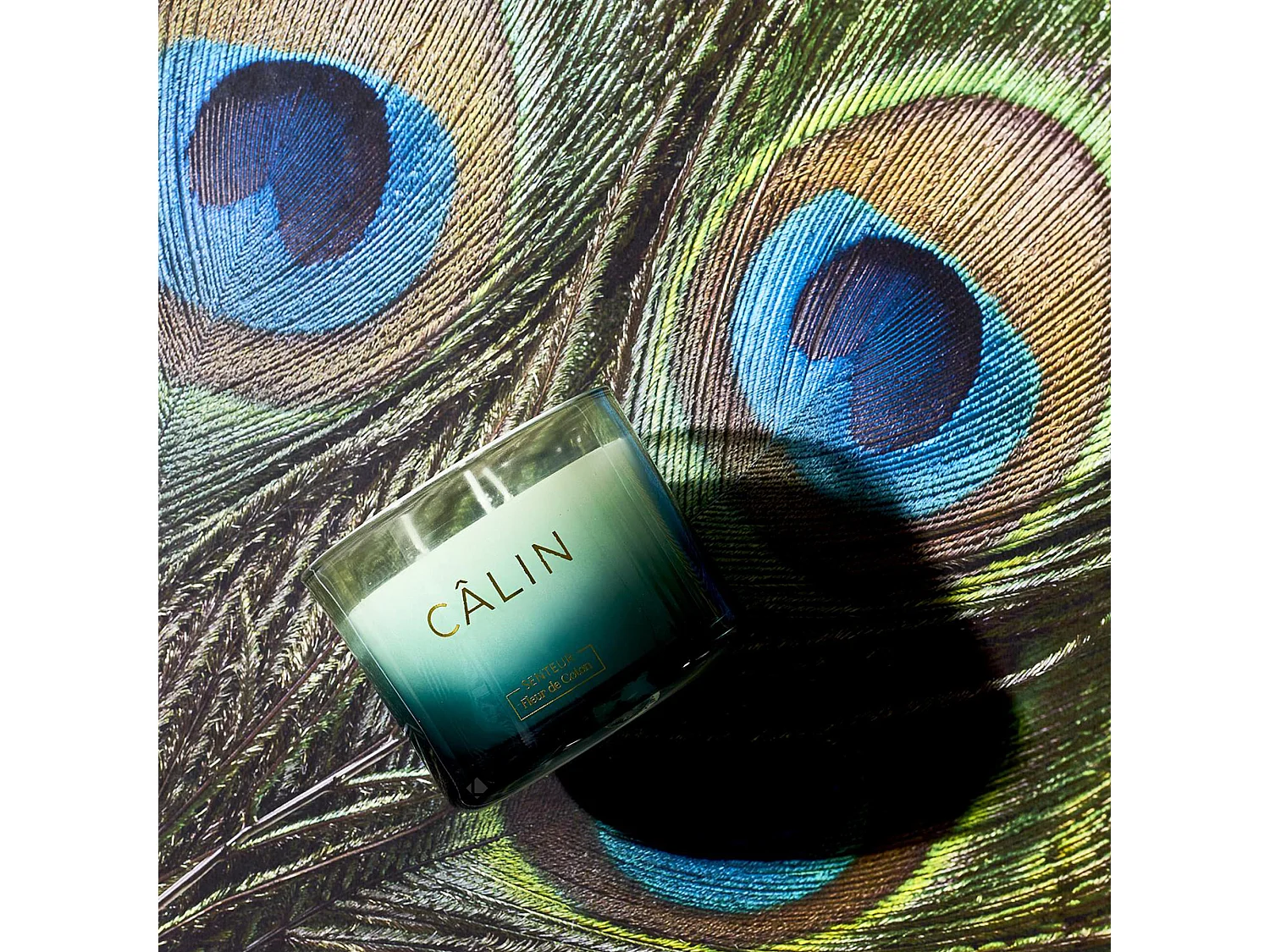 Bougie parfumée 3 mèches en coton AMOUR ET PASSION à la cire de parafine senteur fleur de coton vert