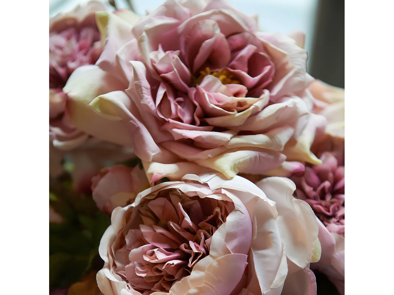 Tige de Rose David ouverte - Rose pâle / 80 cm