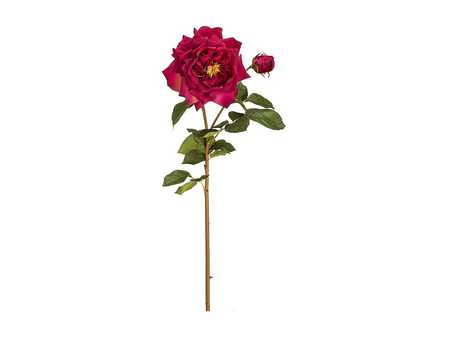 Tige de Rose David ouverte - Rose pâle / 80 cm
