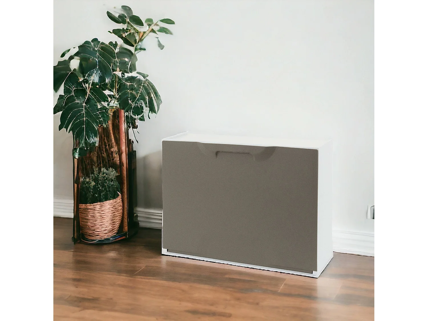 Damatucc Schoenenrek, Ruimtebesparend Schoenenrek, Entree Schoenenrek, 1-Sle Schoenenkast, 100% Made in Italy, 51x17h40 cm, Tortora