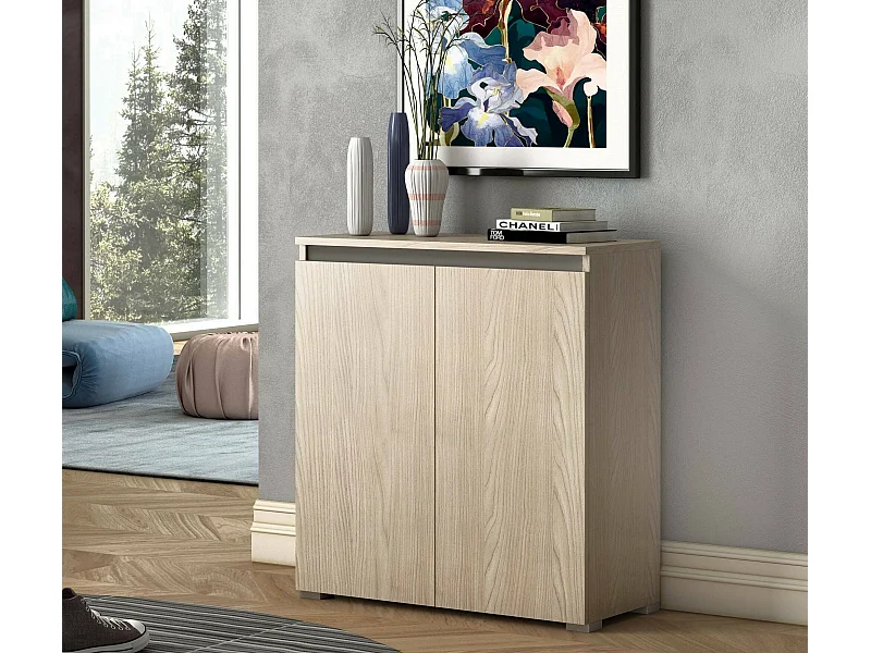 Db-schoenmakAllarin, Multifunctionele meubel, ruimtebesparende schoenenrek met 2 deuren, Opbergkast met planken, 100% Made in Italy, 80x37h102 cm, Olmo