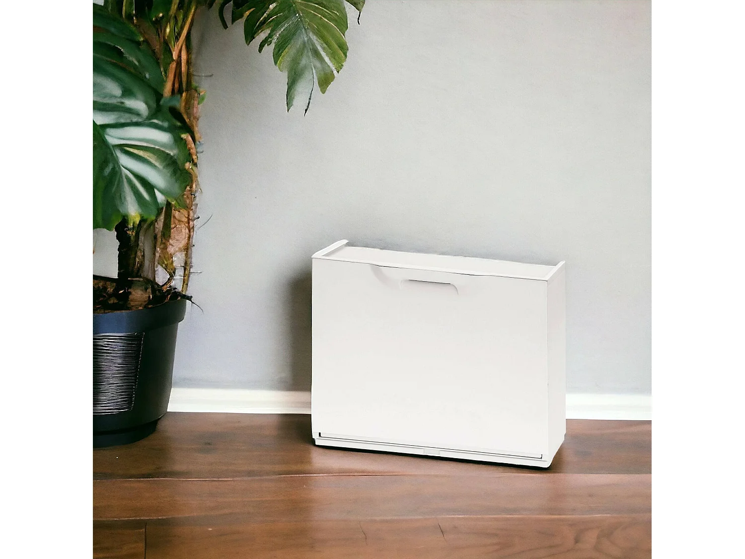 Dmora - Scarpiera Avon, 51x17h40 cm, Bianco