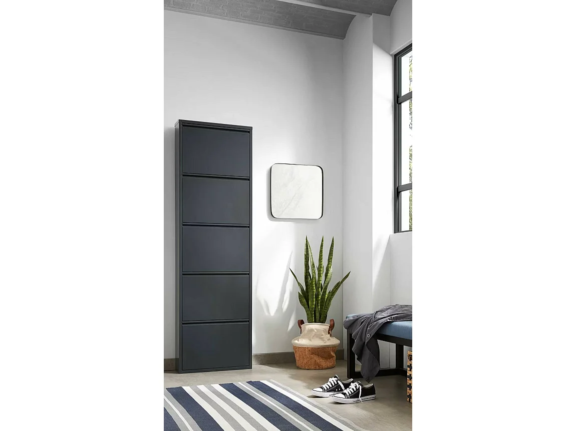 Meuble à chaussures Isidro, Meuble à chaussures en métal, Armoire d'entrée polyvalente, Rangement pour chaussures, 50x15h172 cm, Noir