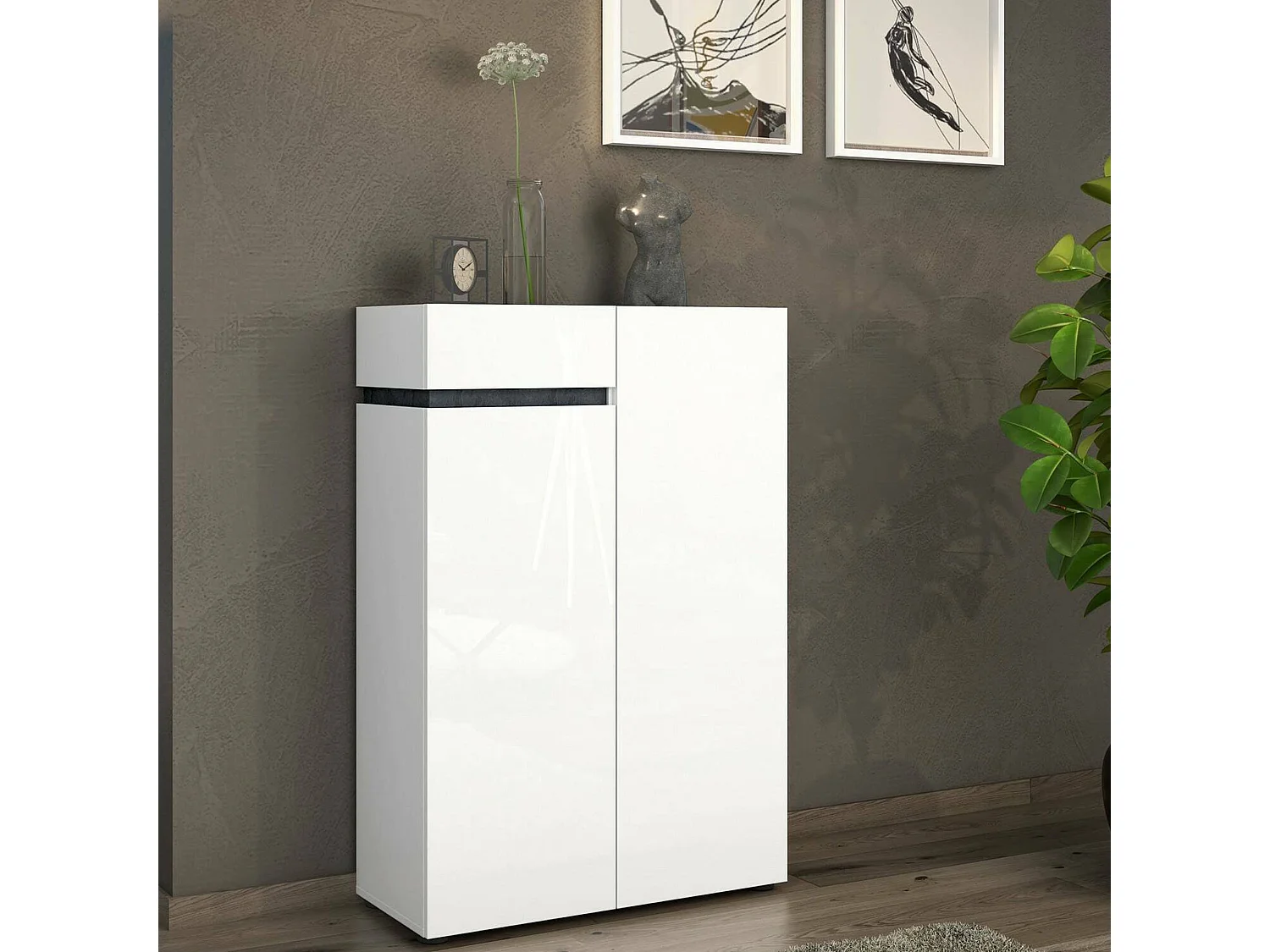 Scarpiera Badolato, un Cassetto Made in Italy, 34x80x115h cm Bianco Lucido, Mobile Portascarpe