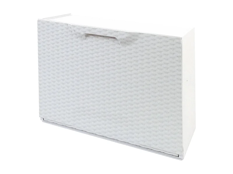 Darmitan schoenenrek, ruimtebesparende schoenenrek, inkomschoenenrek, schoenenrek met 1 deur, 100% Made in Italy, 51x17h40 cm, Wit