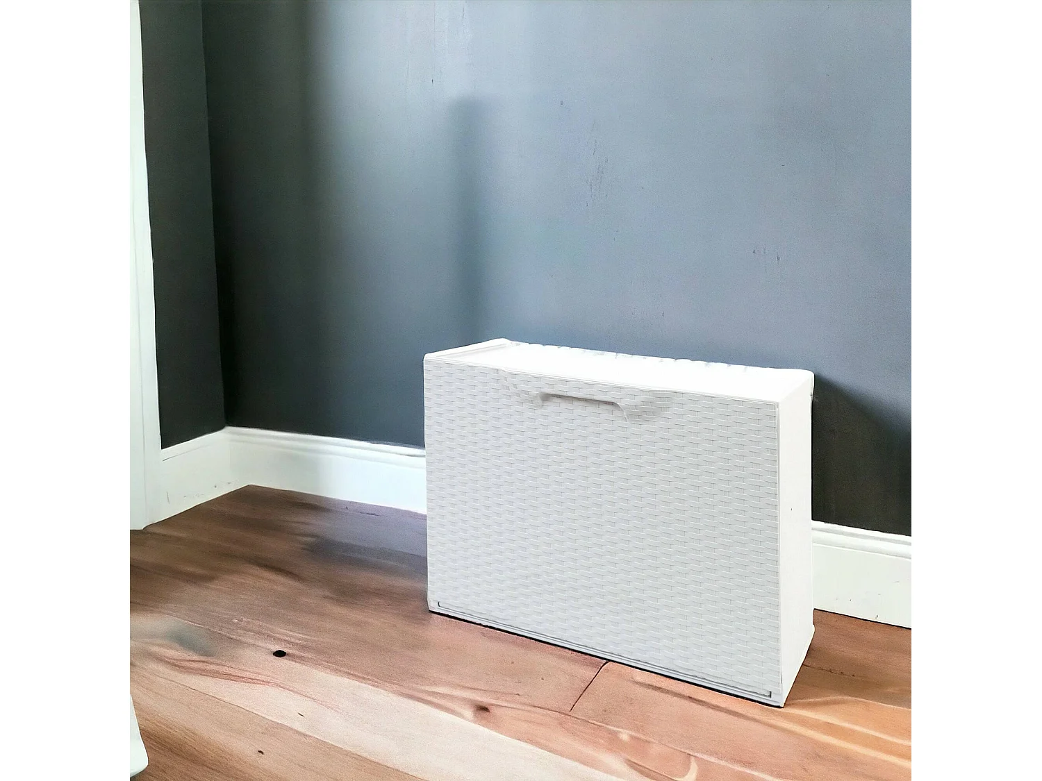 Darmitan schoenenrek, ruimtebesparende schoenenrek, inkomschoenenrek, schoenenrek met 1 deur, 100% Made in Italy, 51x17h40 cm, Wit