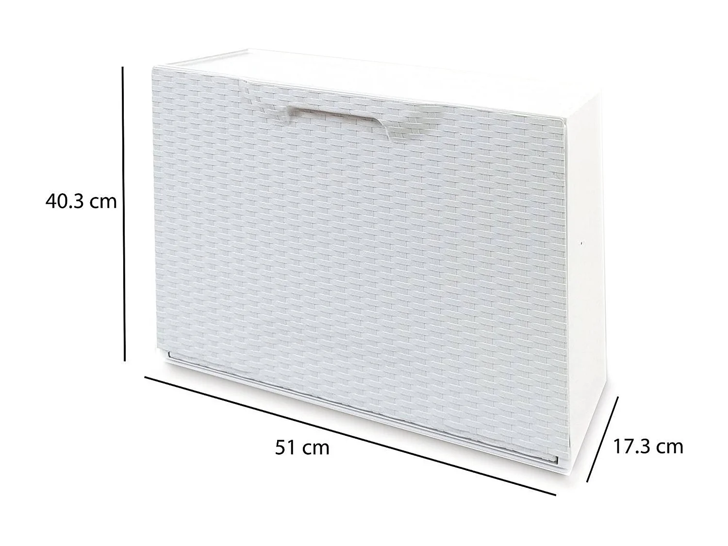 Darmitan schoenenrek, ruimtebesparende schoenenrek, inkomschoenenrek, schoenenrek met 1 deur, 100% Made in Italy, 51x17h40 cm, Wit