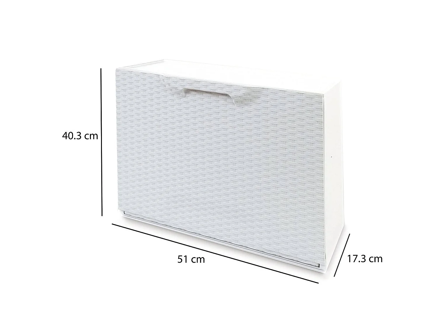 Darmitan schoenenrek, ruimtebesparende schoenenrek, inkomschoenenrek, schoenenrek met 1 deur, 100% Made in Italy, 51x17h40 cm, Wit
