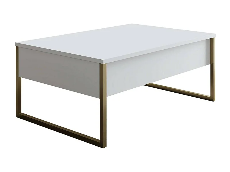 Mesa de café Dgiagnon, Mesa de centro baja, Revistero para sofá, Estante de la sala de estar, 90x60h40 cm, Blanco y Oro