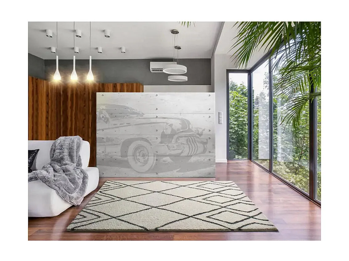 Tapis intérieur - ethnique - blanc - 160 x 230 cm - ATLAS