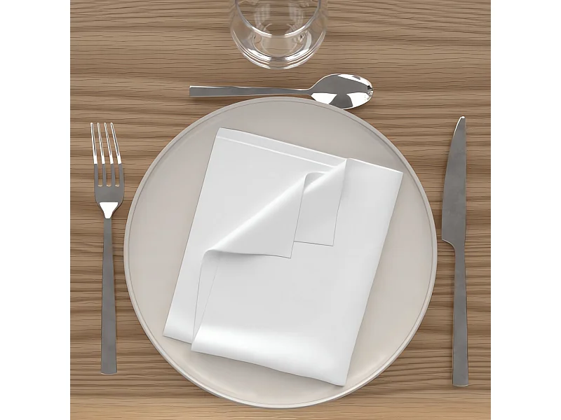 Lot de 3 serviettes de table 40x40 cm ALIX blanc, par Soleil d'Ocre