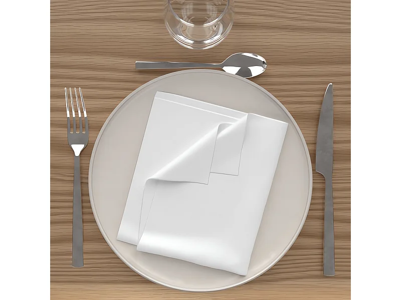 Set de 3 servilletas ALIX 40x40 cm blanco, de Soleil d'Ocre