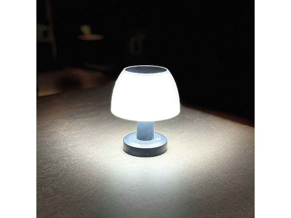 Lot de 2 Lampes de table solaire LUMINA Blanc Plastique H13.5 cm