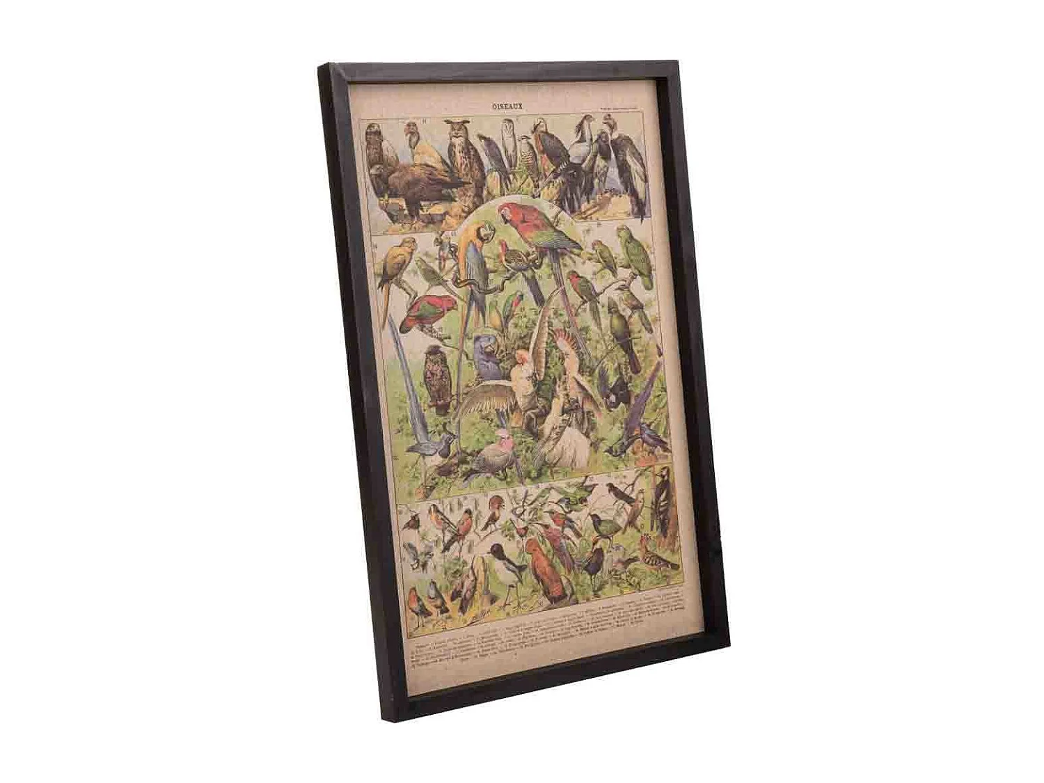 Cadre en bois et toile 40x60x2,5h