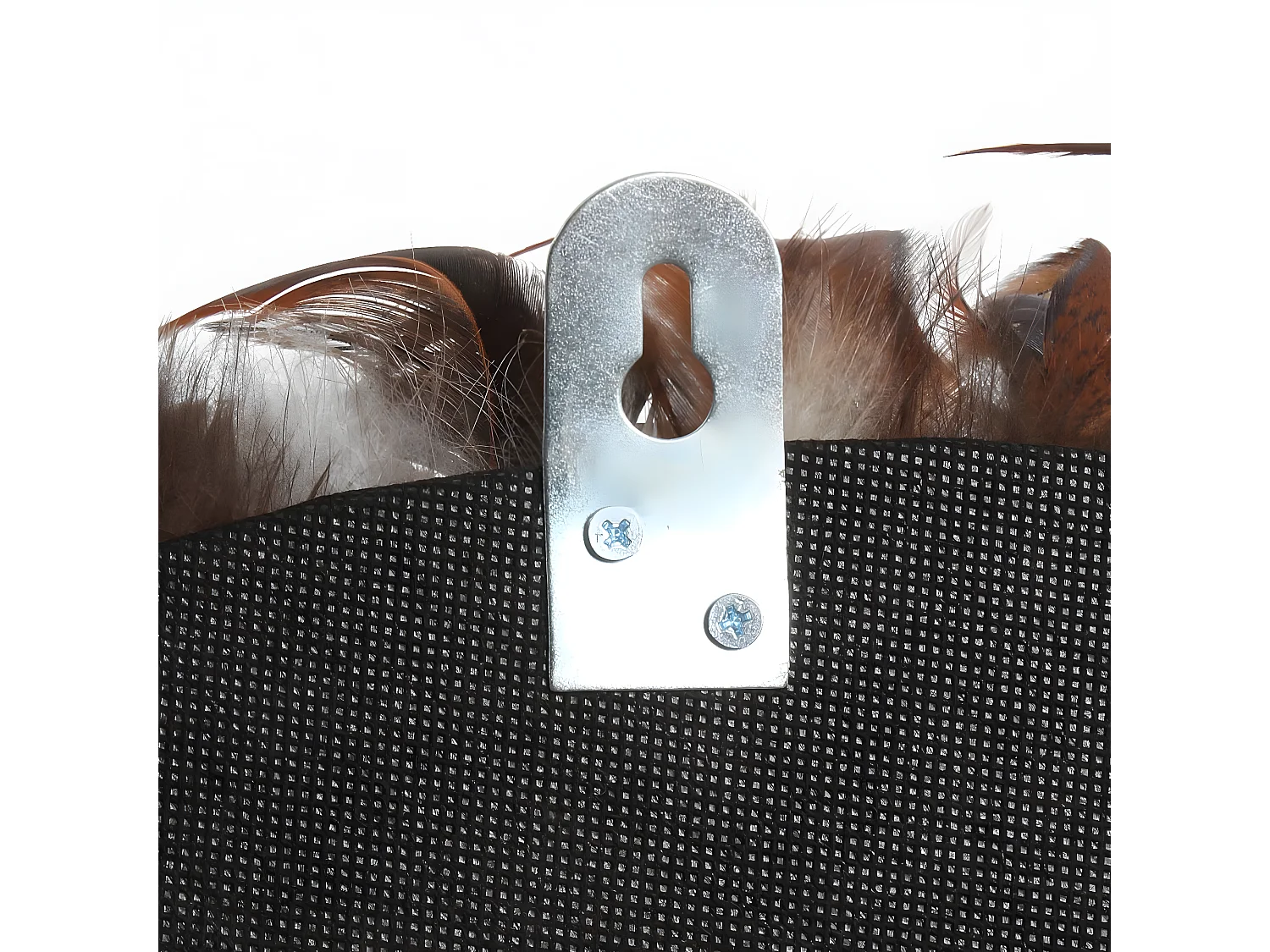 Le Coastal Juju - Noir Brun - L