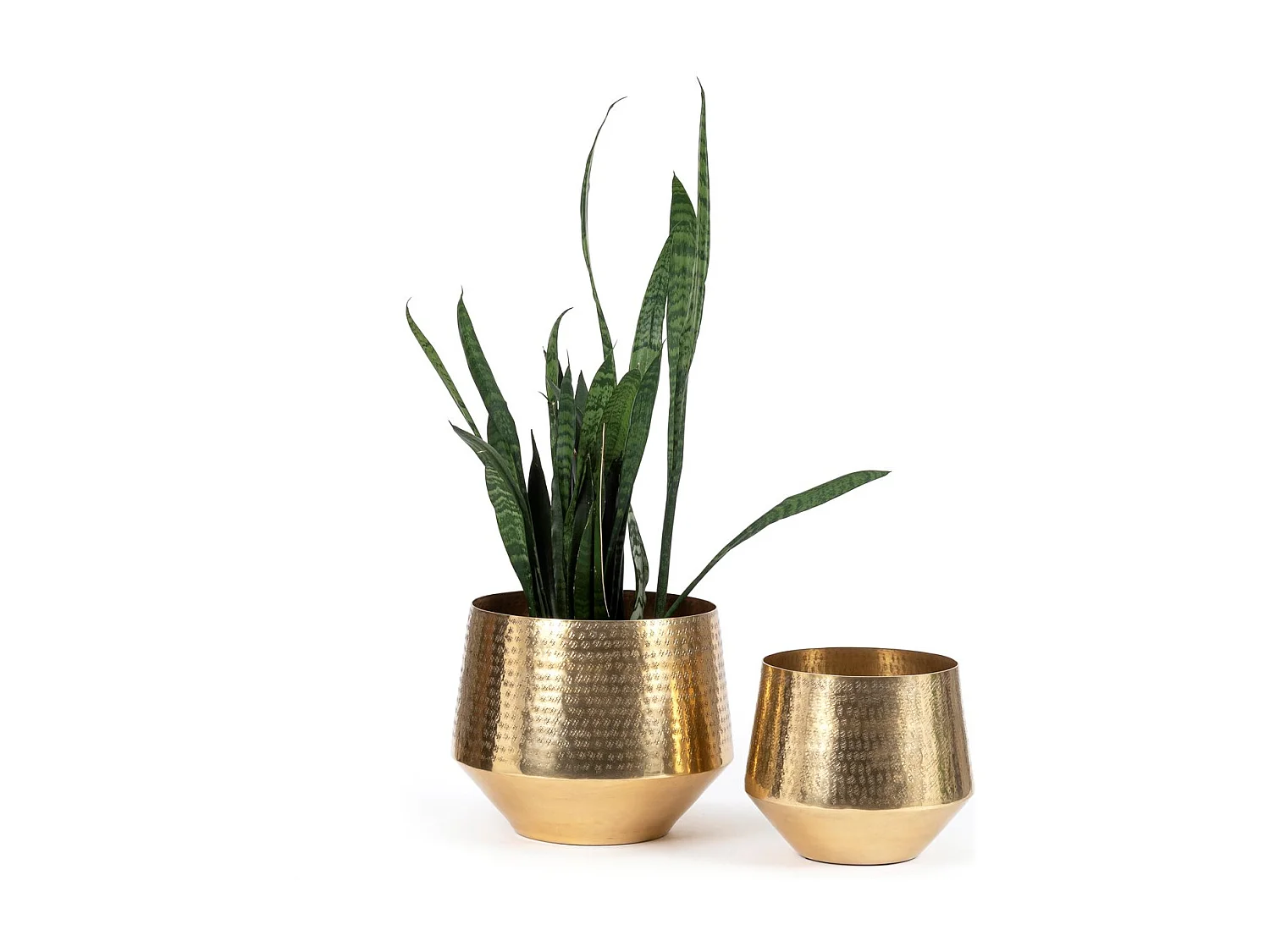 La Fioriera Martellata - Ottone - XL