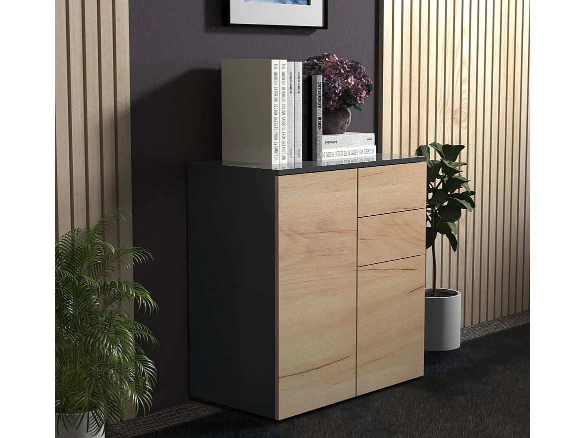 Cómoda de madeira VCM | aparador com 2 portas de batente e duas gavetas | dimensões H. 77 x L. 70 x P. 39cm - Dalosa (antracite / carvalho mel)