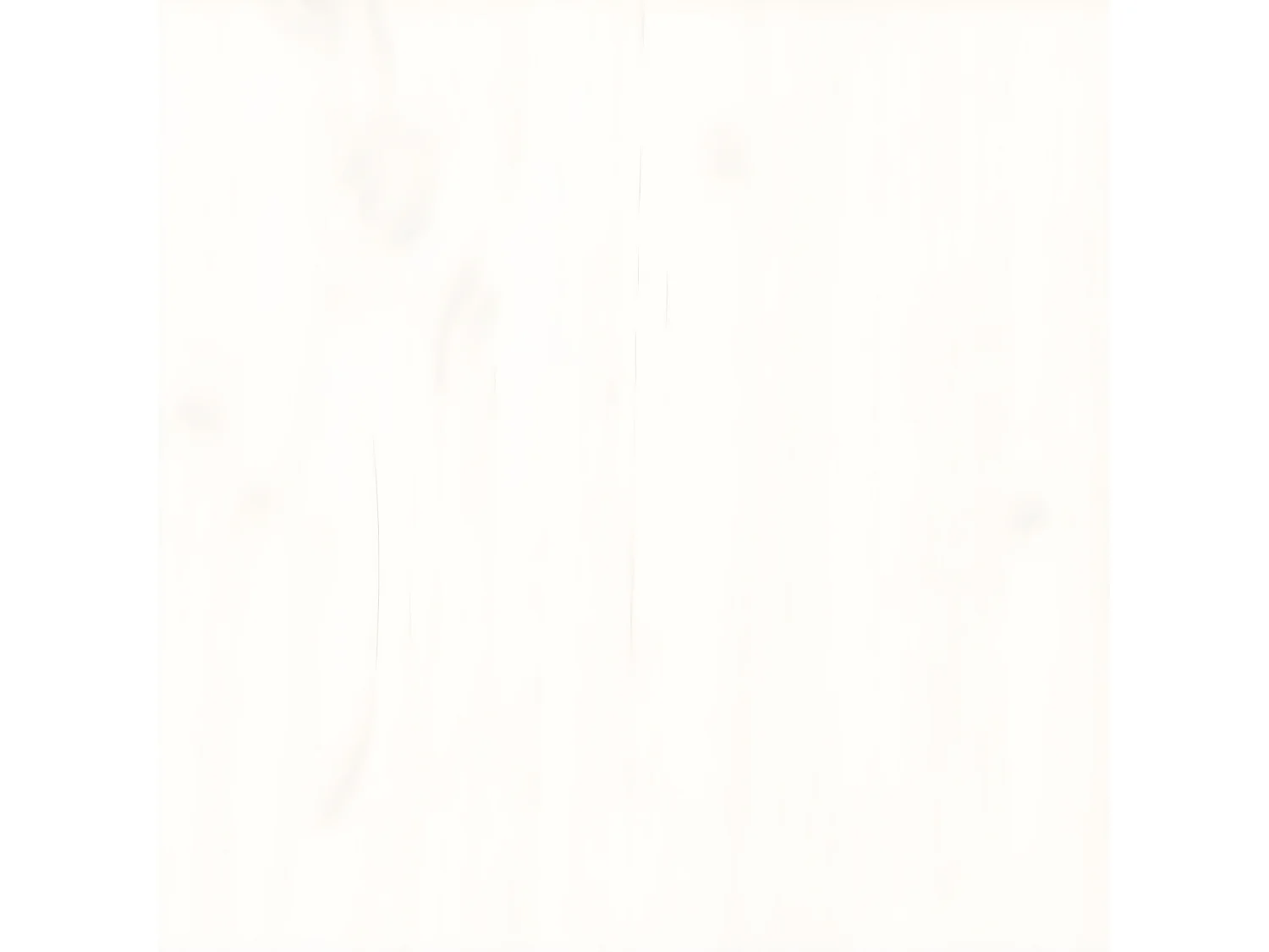 Cadre de lit avec tiroirs blanc 180x200 cm bois de pin massif