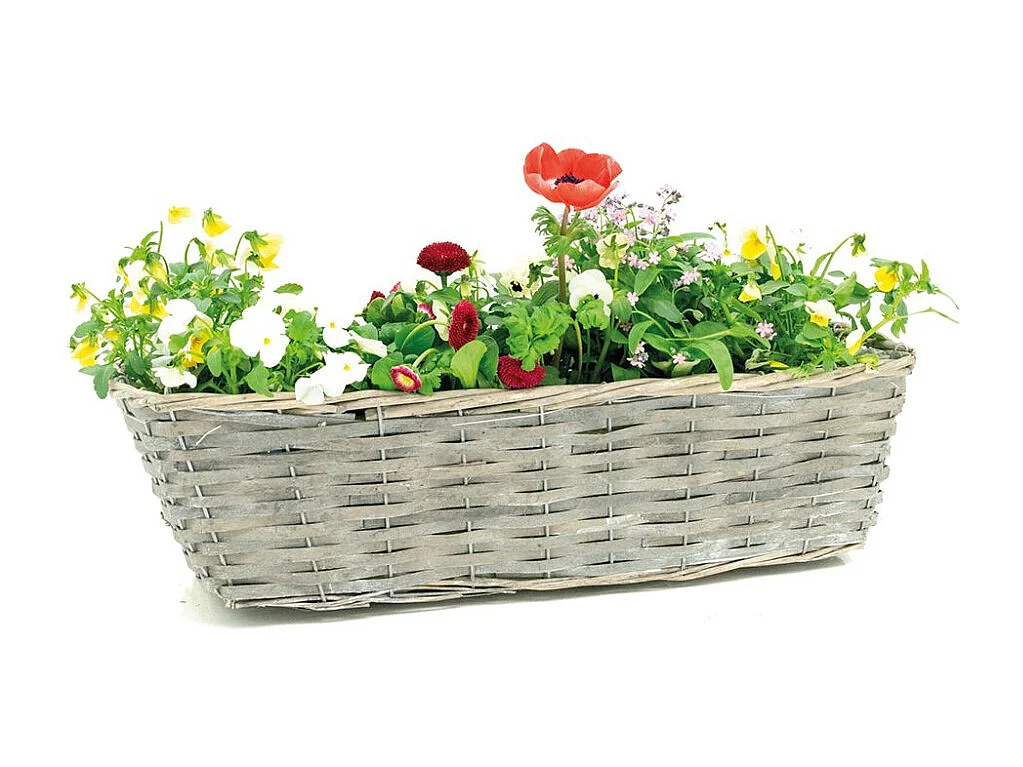 Jardinière en osier et bois 50 x 16 x 15 cm