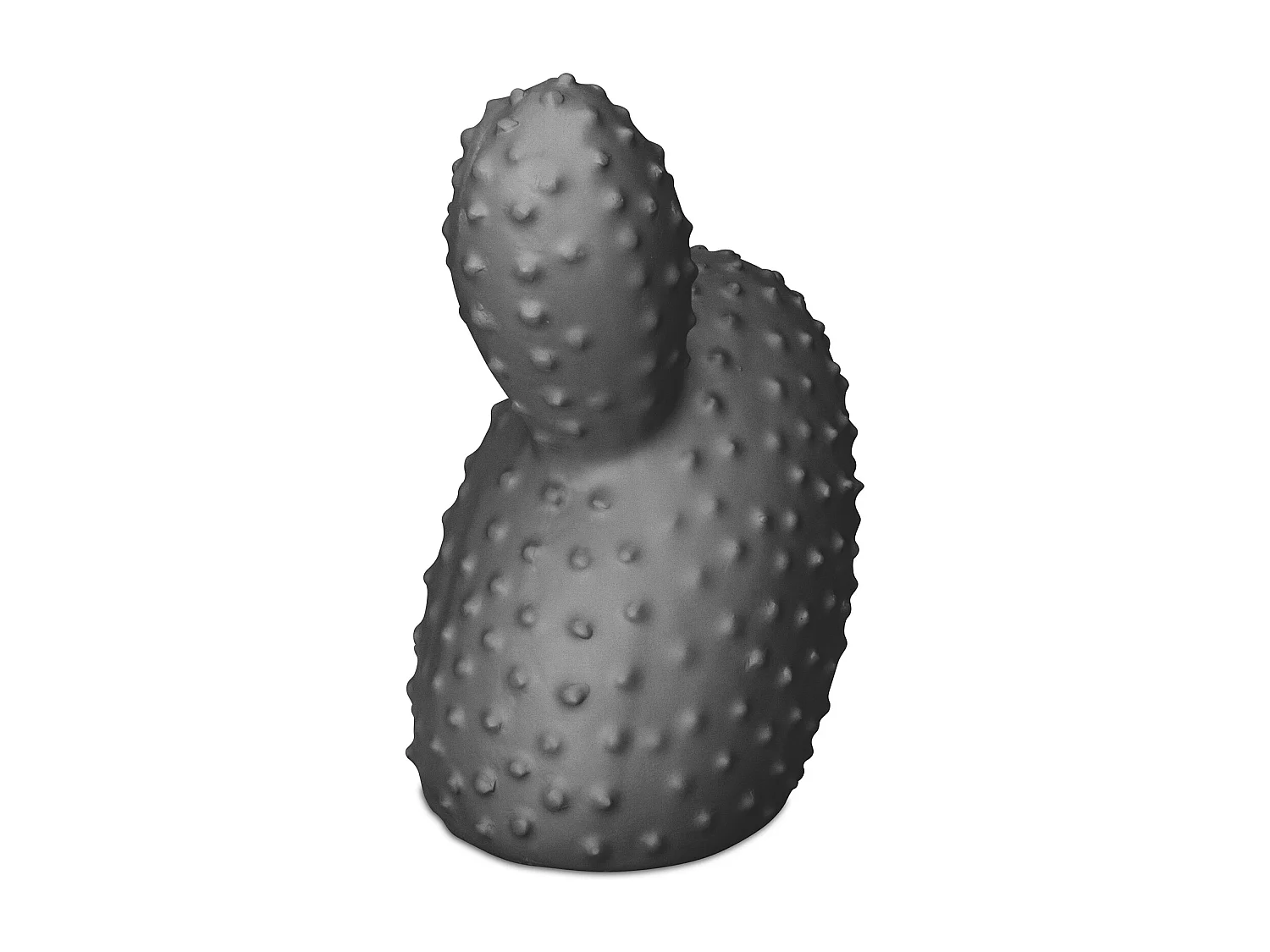 Kaktus Dekorative Figur