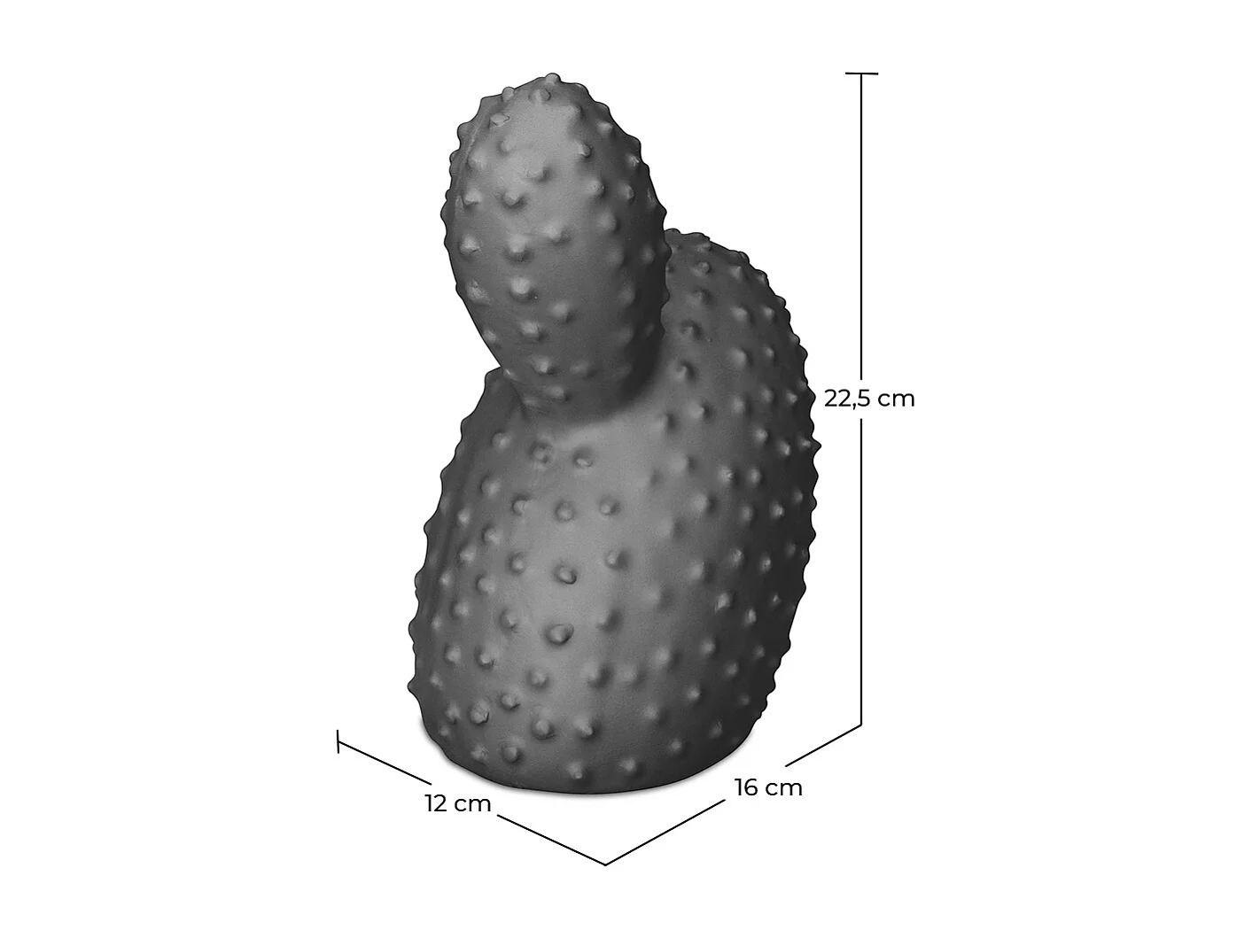 Kaktus Dekorative Figur