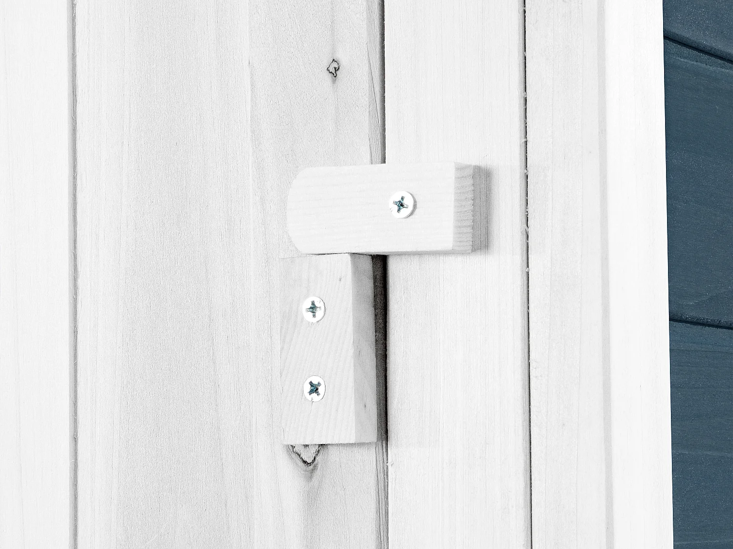 Poulailler en bois avec enclos - 10 poules - L. 266 x P. 174 x H. 205 cm - Bleu et Blanc - FERAS