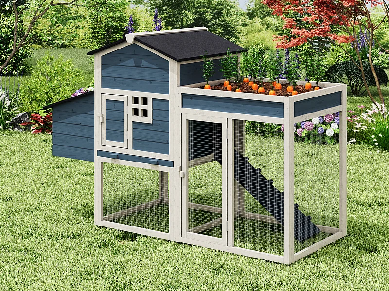 Hühnerstall aus Holz mit Freilaufgehege & Garten - für 4 Hühner - 168 x 64 x 109 cm - Blau & Weiß - CAMPORA