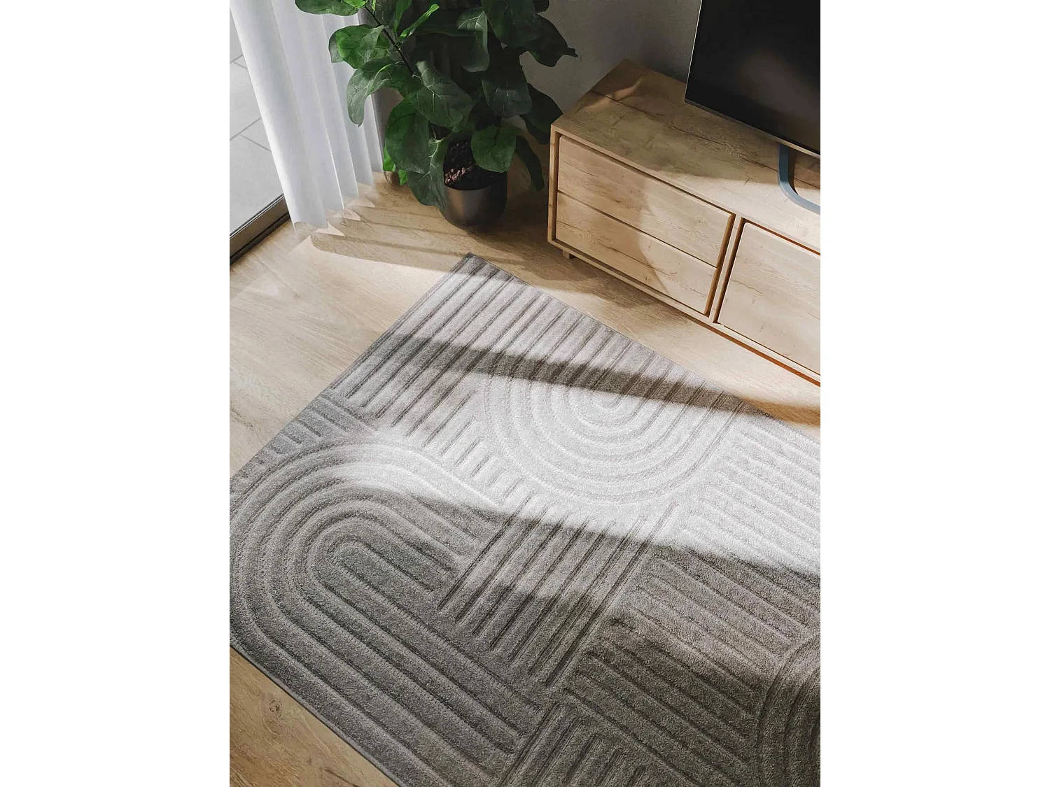 Tapis Leo Gris clair 240x340 cm