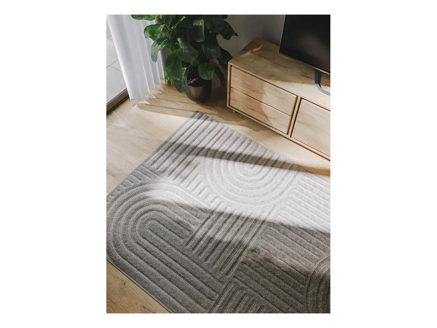 Tapis Leo Gris clair 160x230 cm