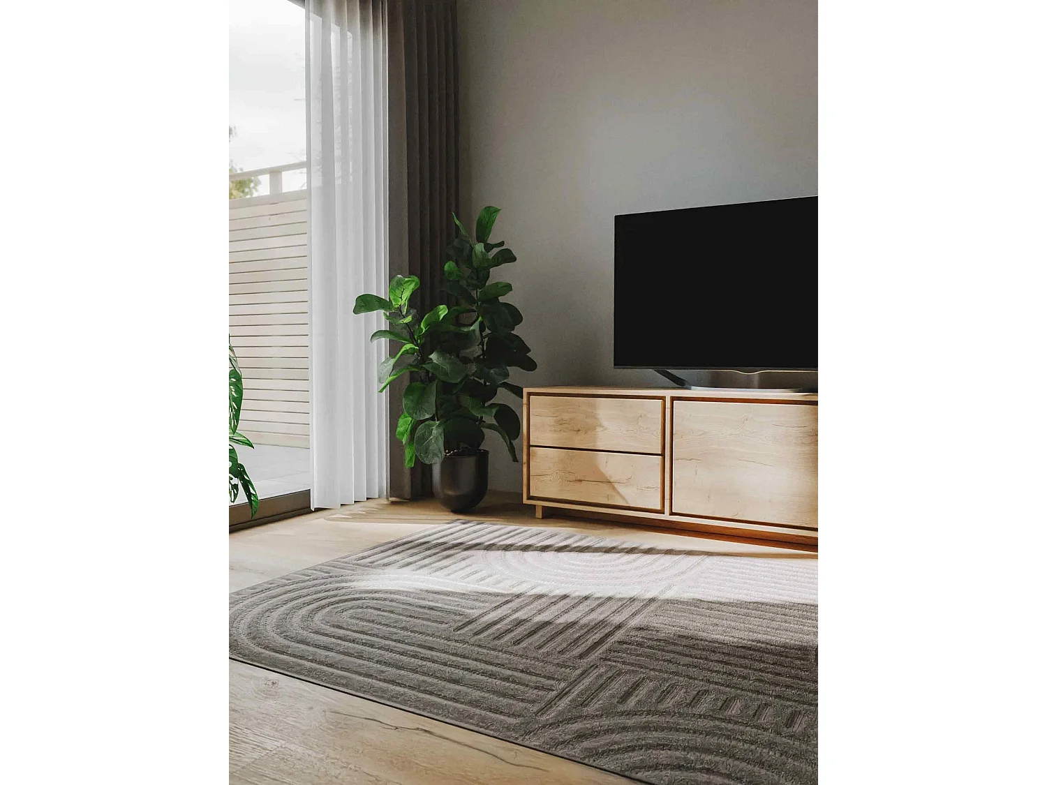 Tapis Leo Gris clair 160x230 cm