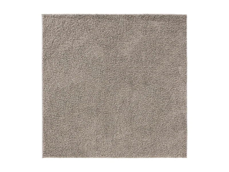 Tapis à poils longs Soho Gris clair 200x200 cm