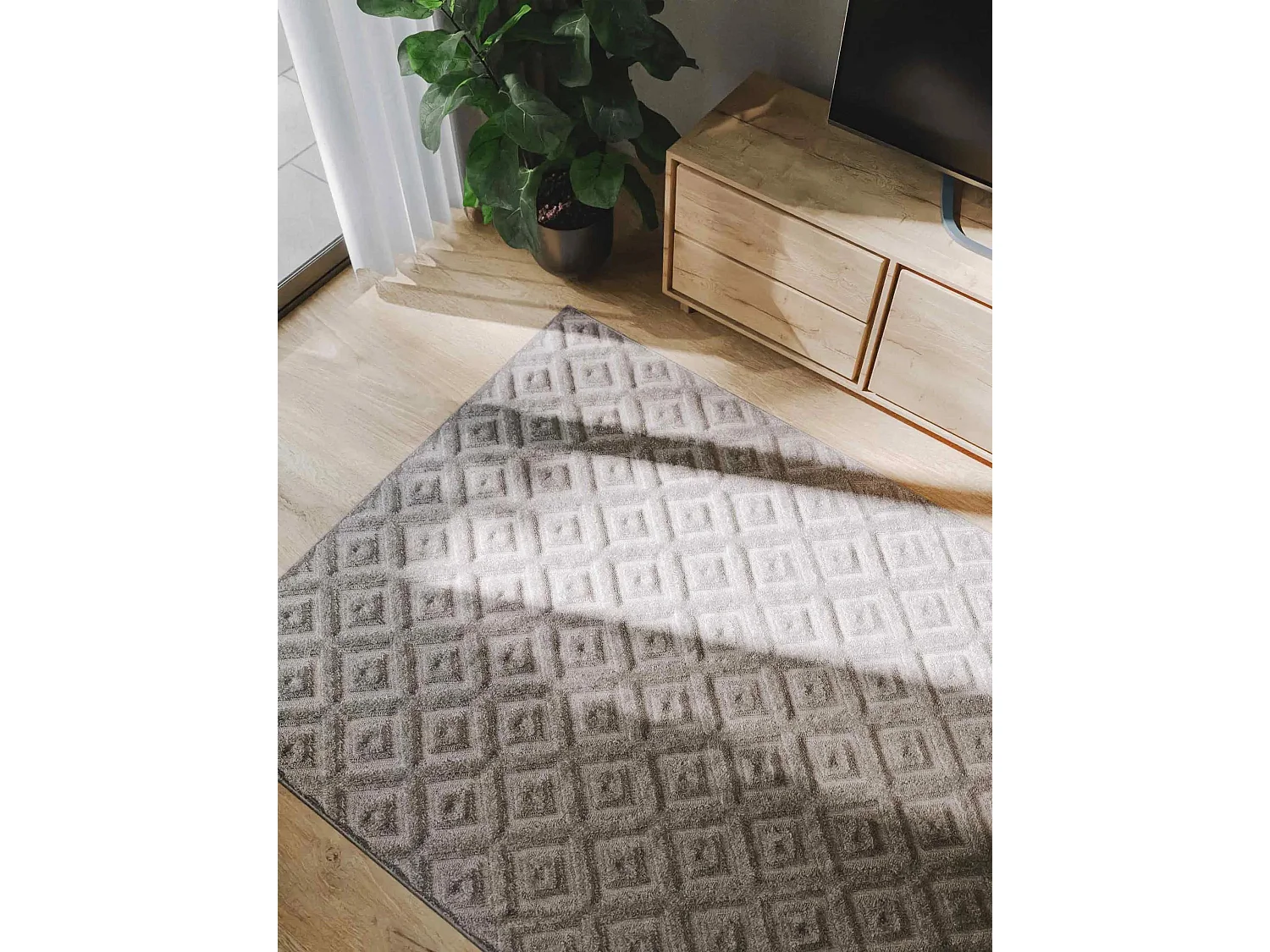 Tapis Leo Gris clair 240x340 cm