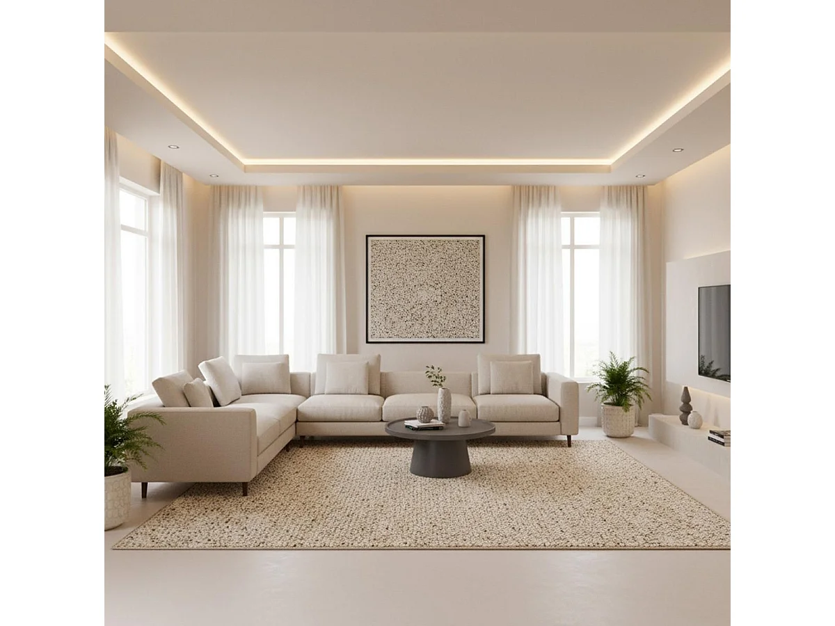 tapis grand salon 250x350 fait main en laine crème et gris motif simple