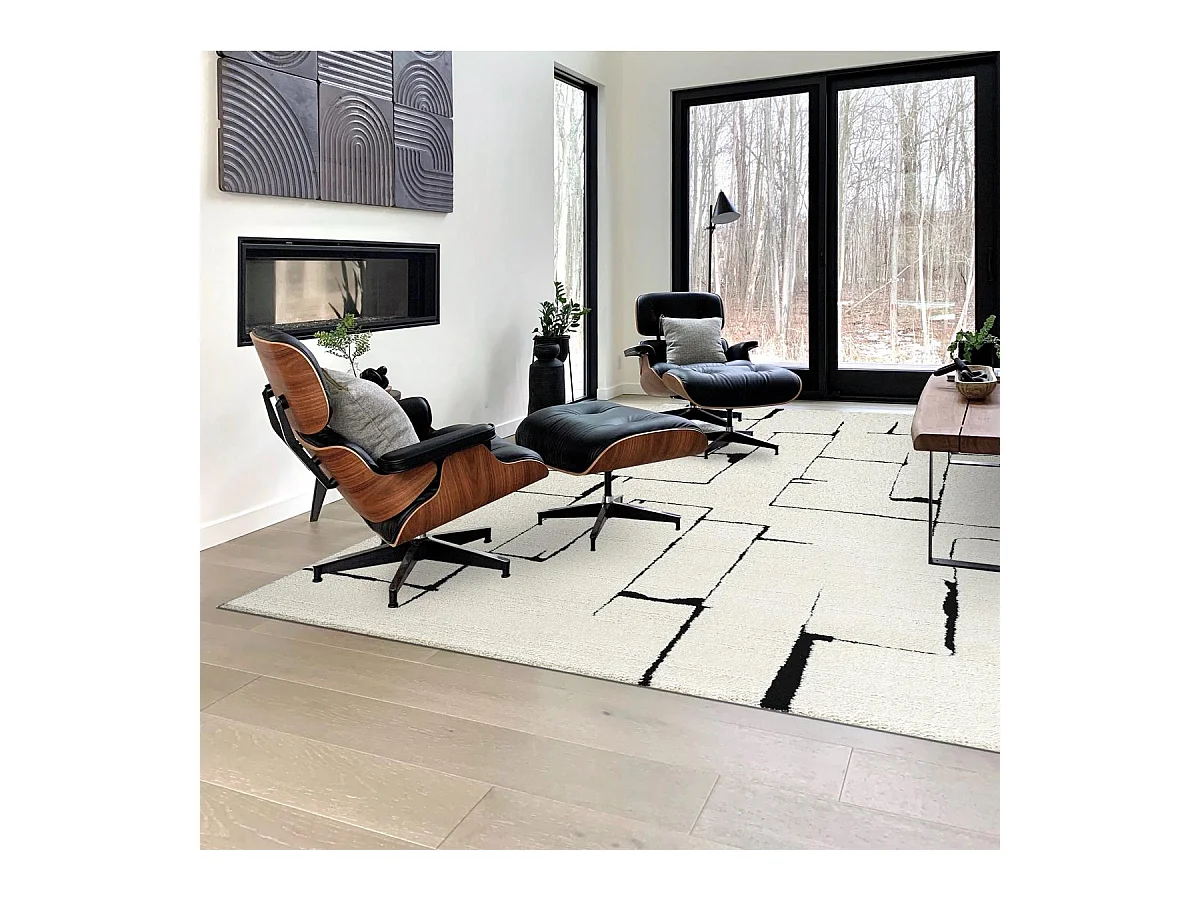 Tapis salon LYN9 BRINKI 120x170 cm Noir - Tapis Chambre doux et soyeux