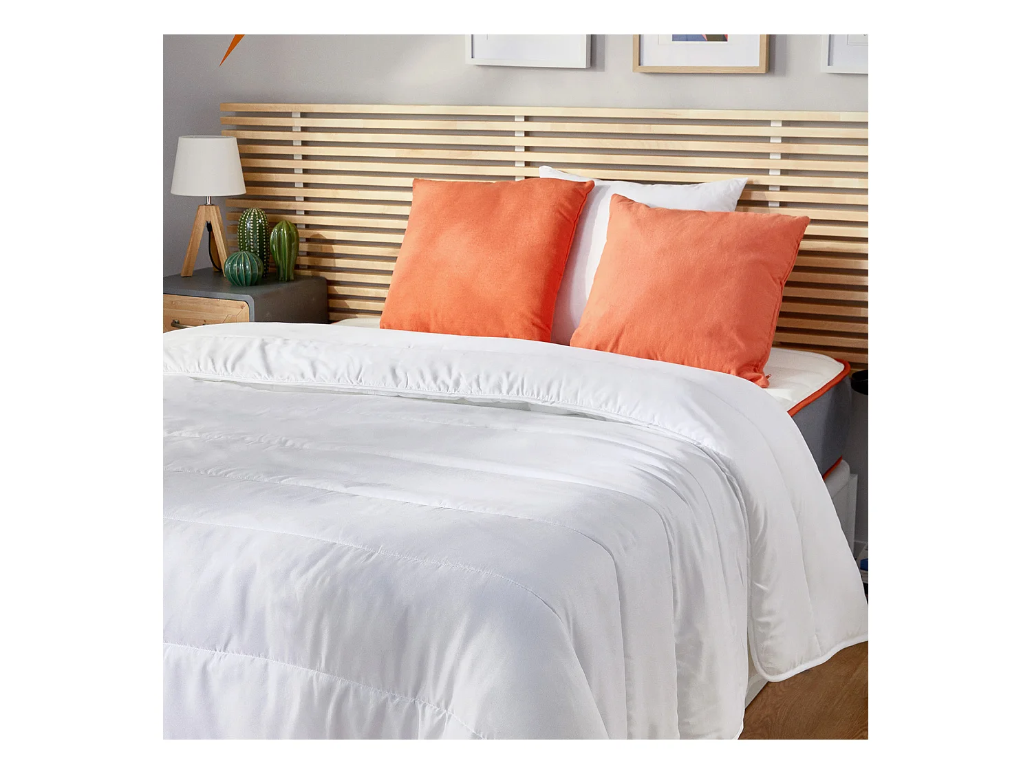 Edredón Nórdico de 150gr fibra 220x220cm WHAT THE SLEEP