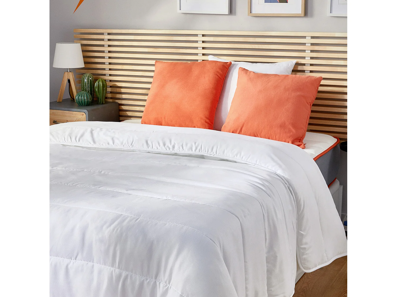 Edredón Nórdico de 150gr fibra 220x220cm WHAT THE SLEEP