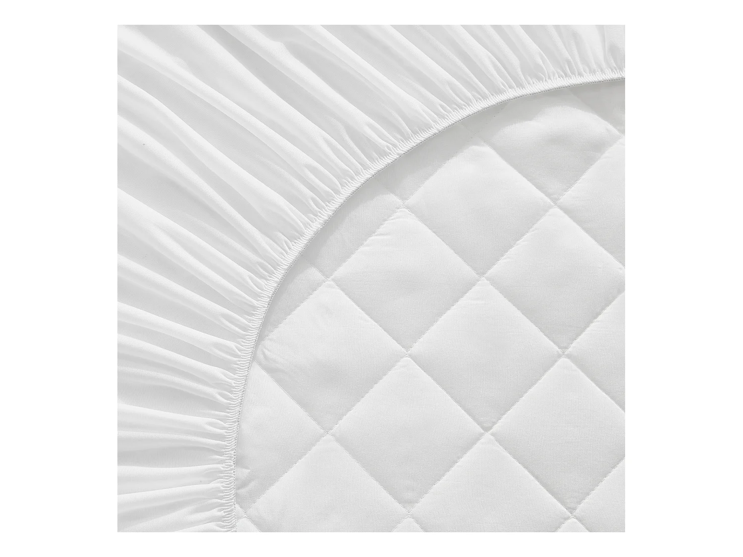 Protector de colchón acolchado Aloe Vera 150x190/200cm