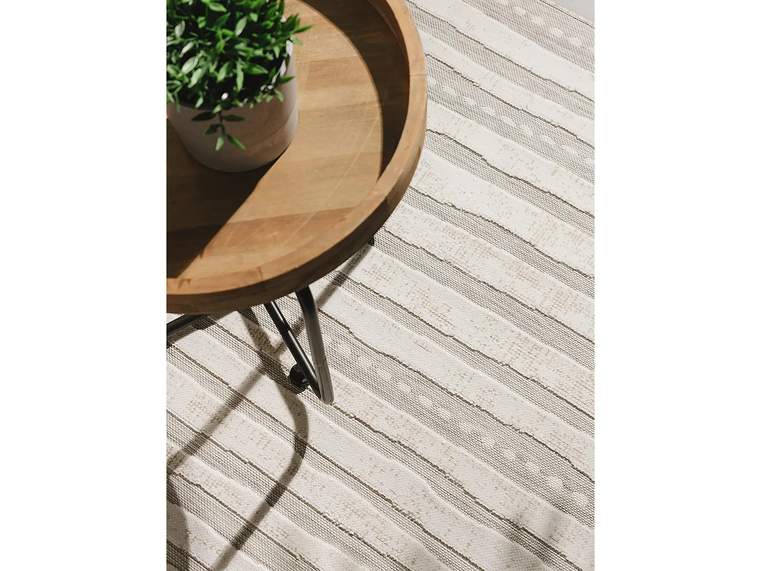 Tapis d'extérieur & intérieur Flora Beige 120x170 cm